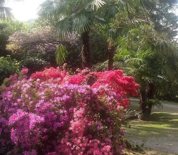 Lejlighed La Casina *